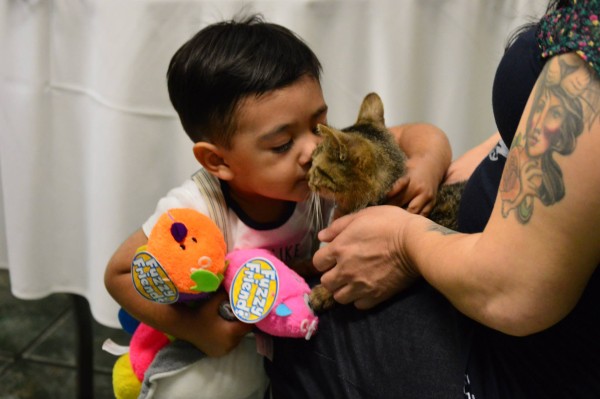 El es mi hijo Diego, fue nuestro ayudante en un evento de adopciones de perros y gatos.