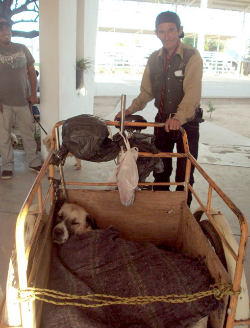 esterilizaciones